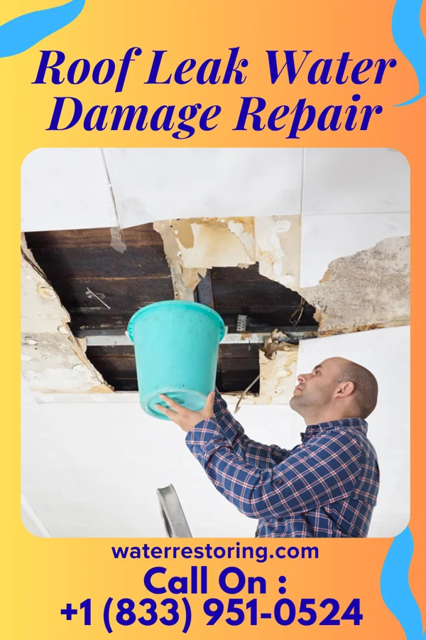 Roof Leak Water Damage Repair in Percy, IL