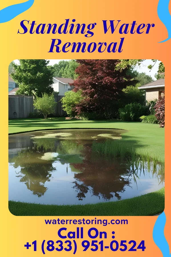 Standing Water Removal in Percy, IL